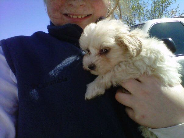 Photo from testimonial by Anonymous