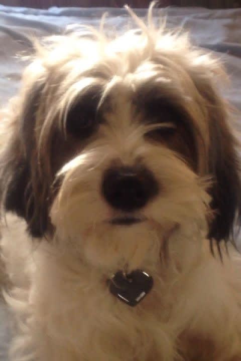 Photo from testimonial by Anonymous