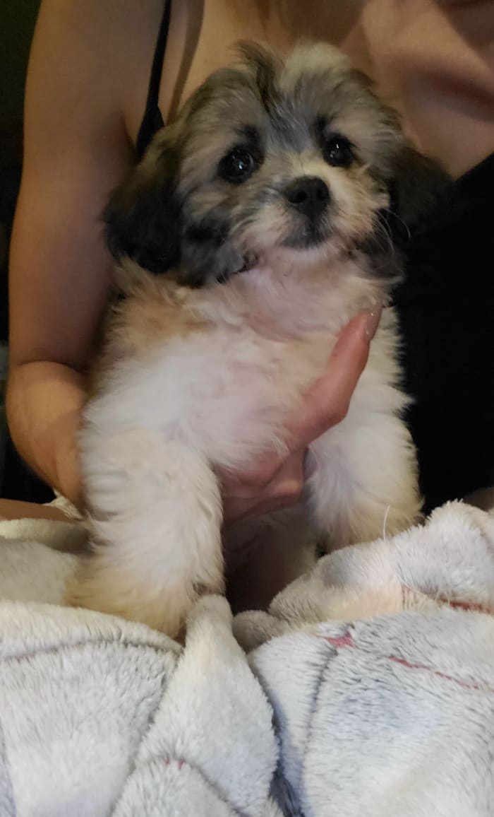 Photo from testimonial by Anonymous