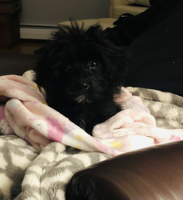 Photo from testimonial by Anonymous