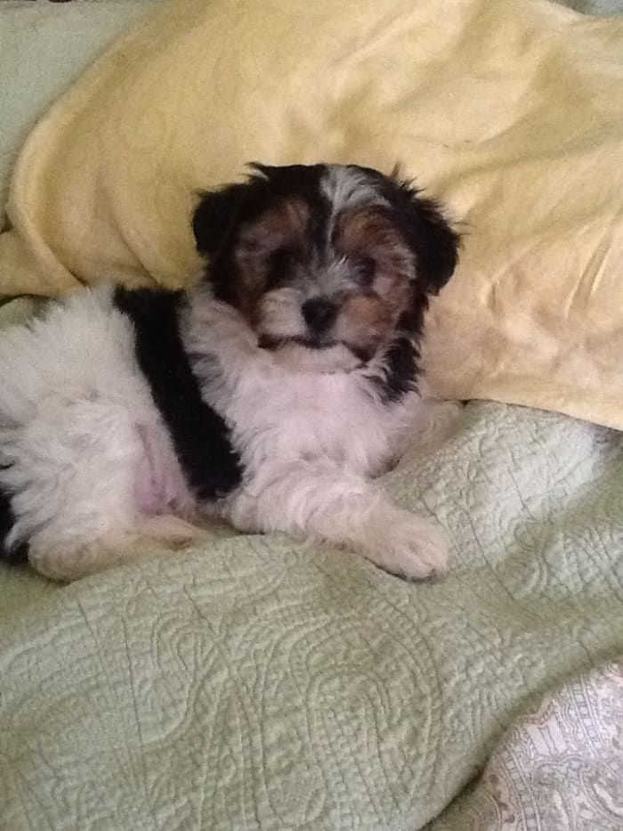 Photo from testimonial by Anonymous