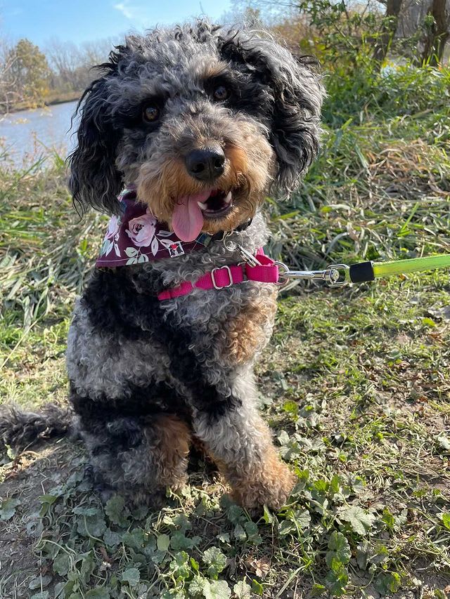 Photo from testimonial by Anonymous