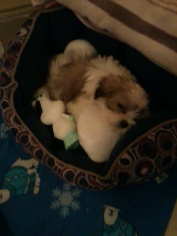 Photo from testimonial by Anonymous