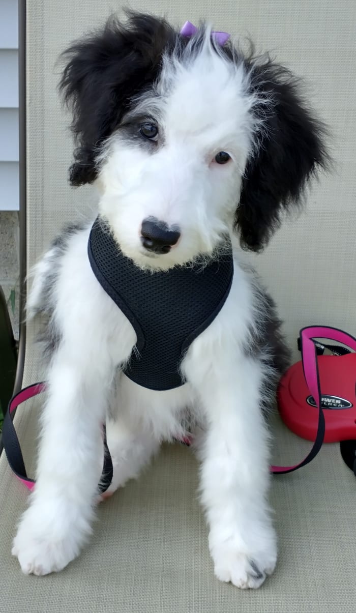 Photo from testimonial by Anonymous