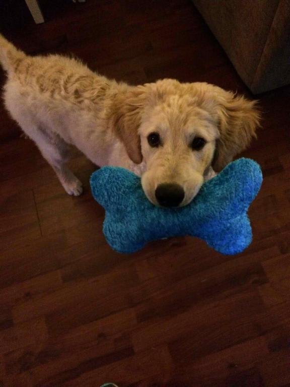 Photo from testimonial by Anonymous