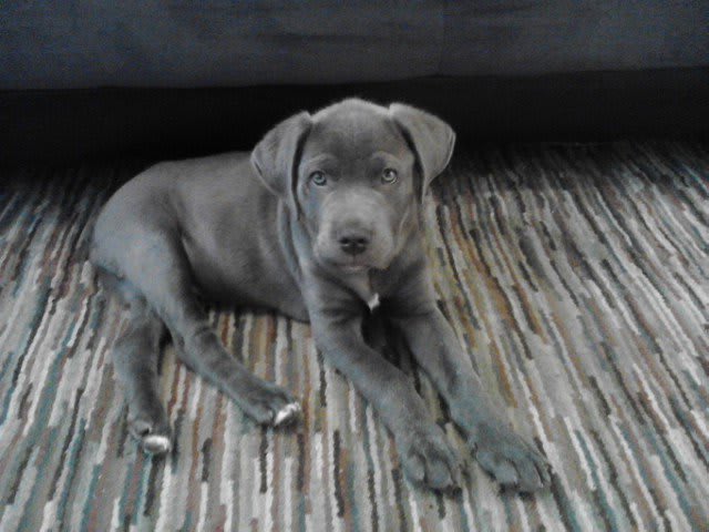 Photo from testimonial by Anonymous