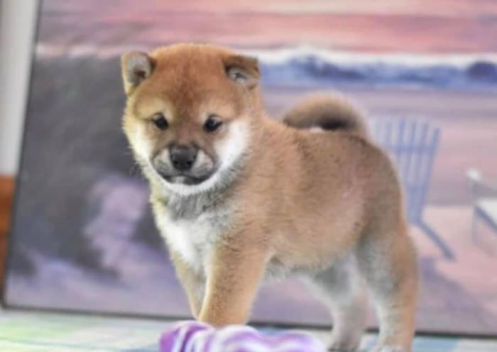 Photo from testimonial by Anonymous