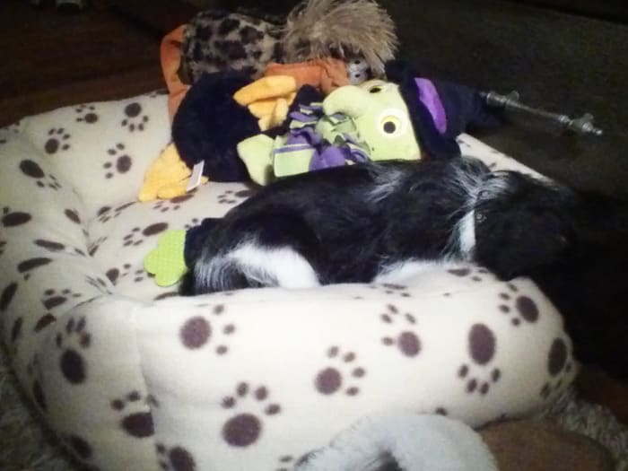 Photo from testimonial by Anonymous