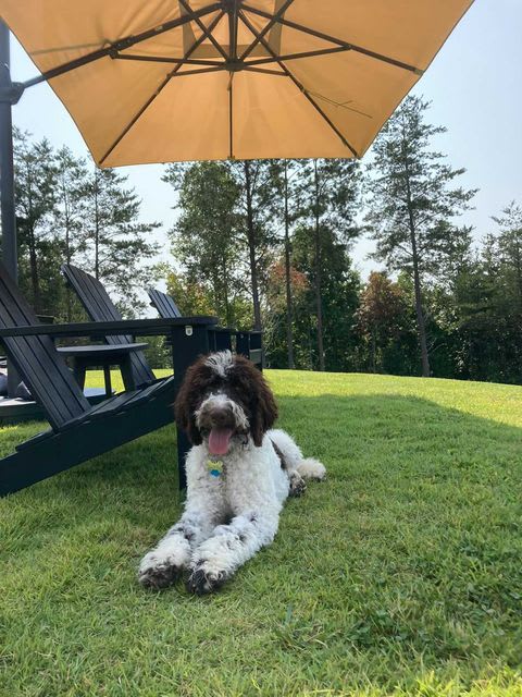 Photo from testimonial by Anonymous