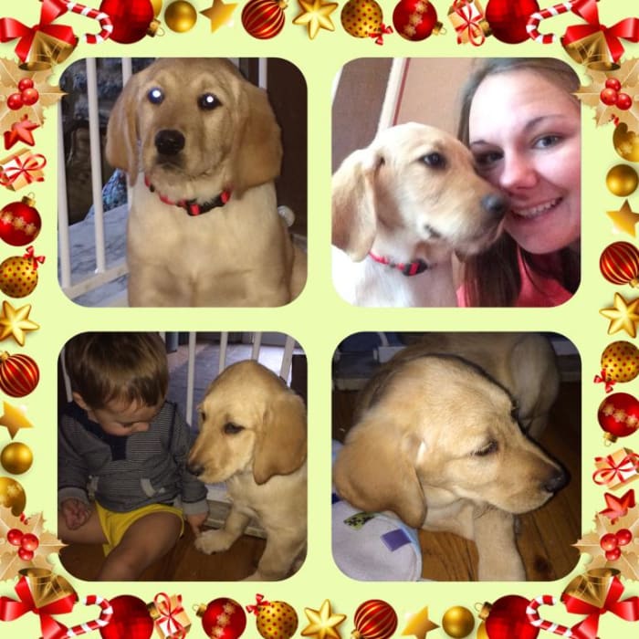 Photo from testimonial by Anonymous