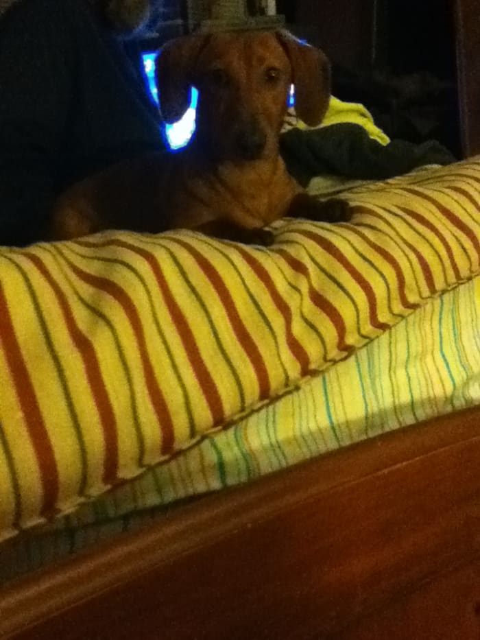 Photo from testimonial by Anonymous