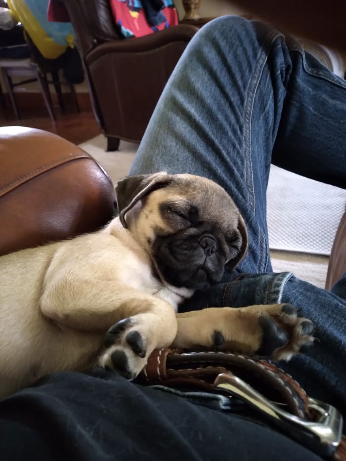 Photo from testimonial by Anonymous