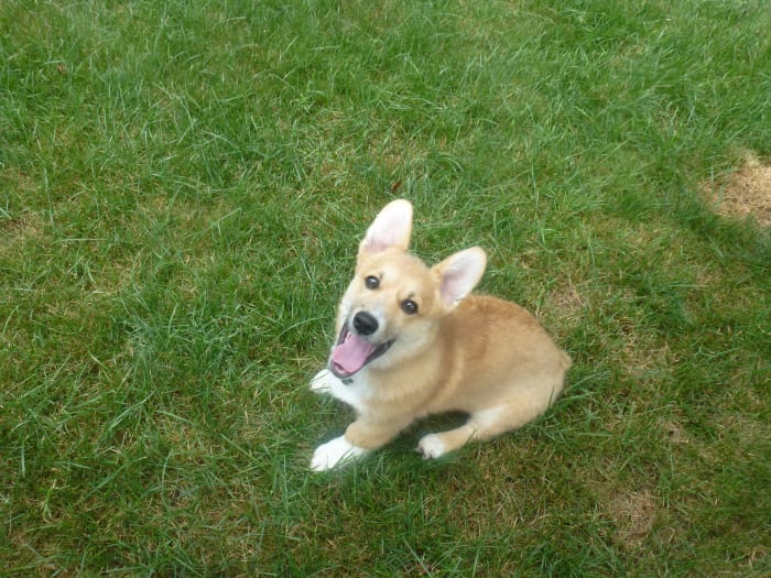 Photo from testimonial by Anonymous