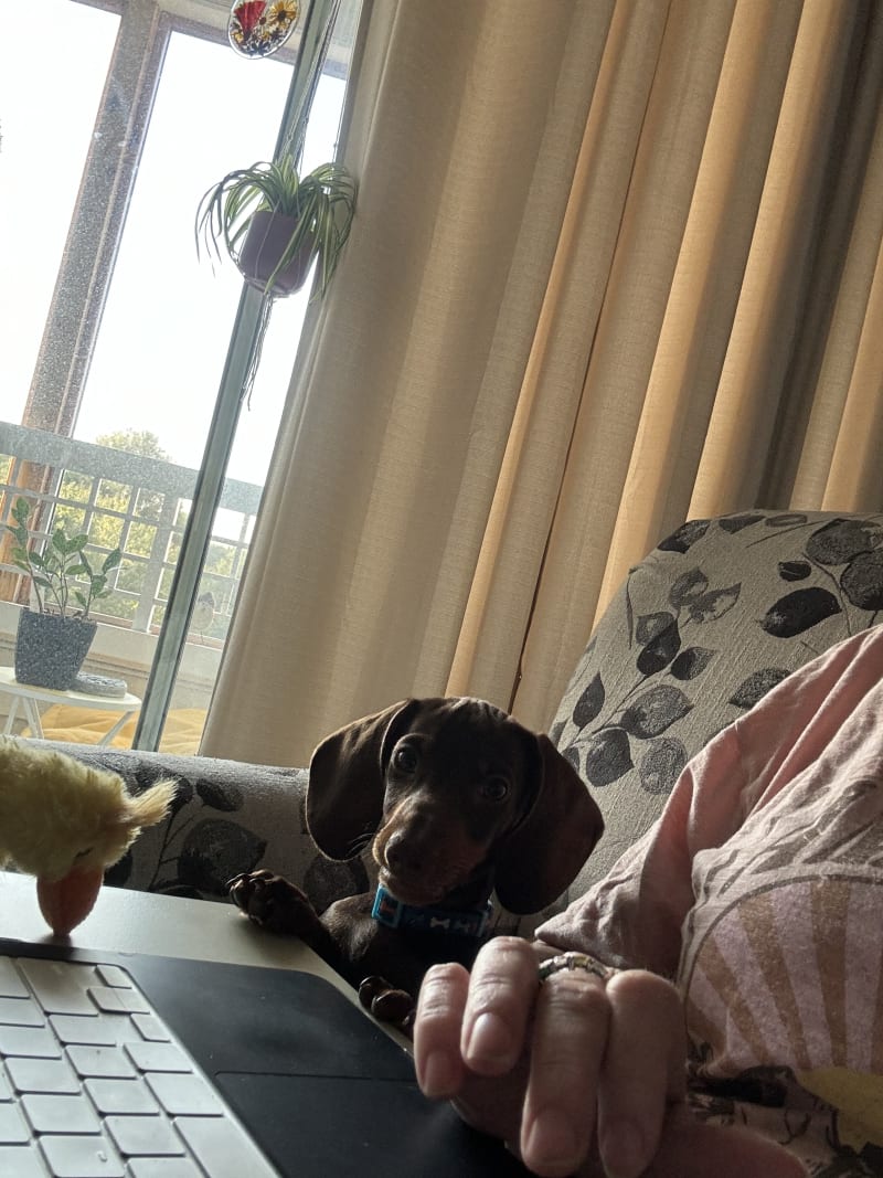 Photo from testimonial by Anonymous