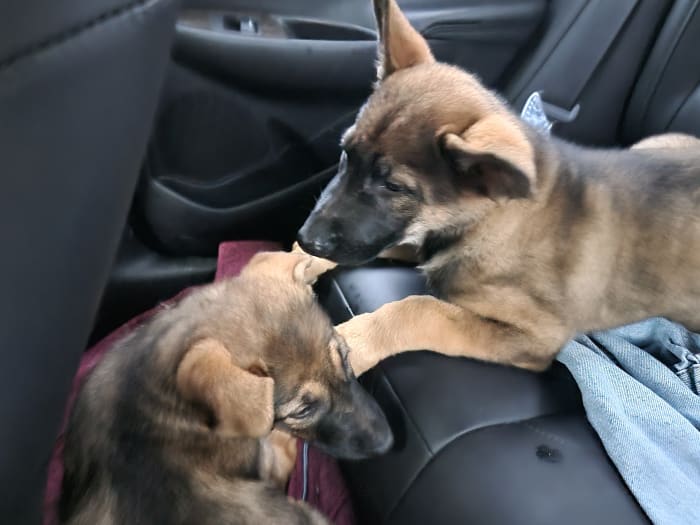 Photo from testimonial by Anonymous