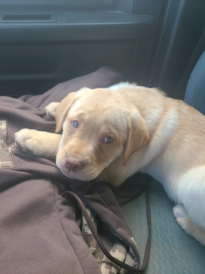 Photo from testimonial by Anonymous