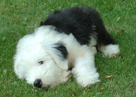 Photo from testimonial by Anonymous