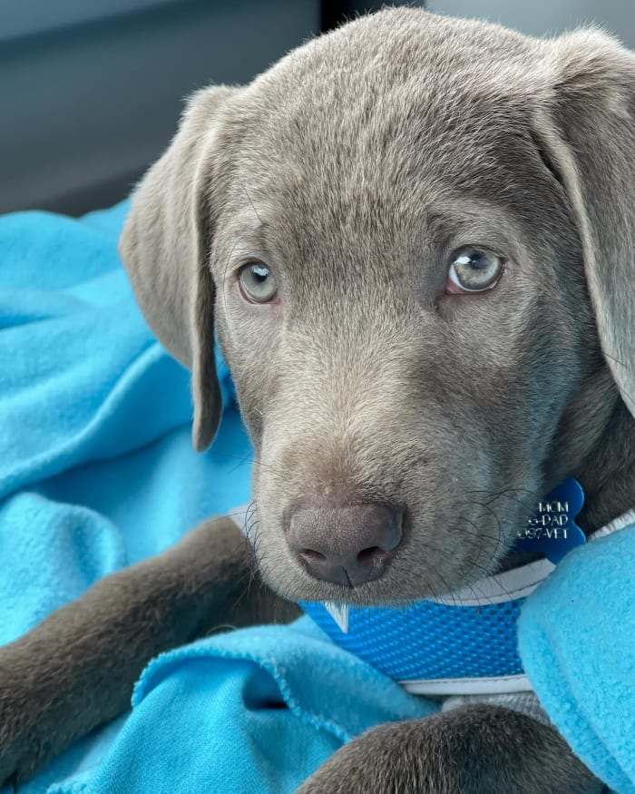 Photo from testimonial by Anonymous