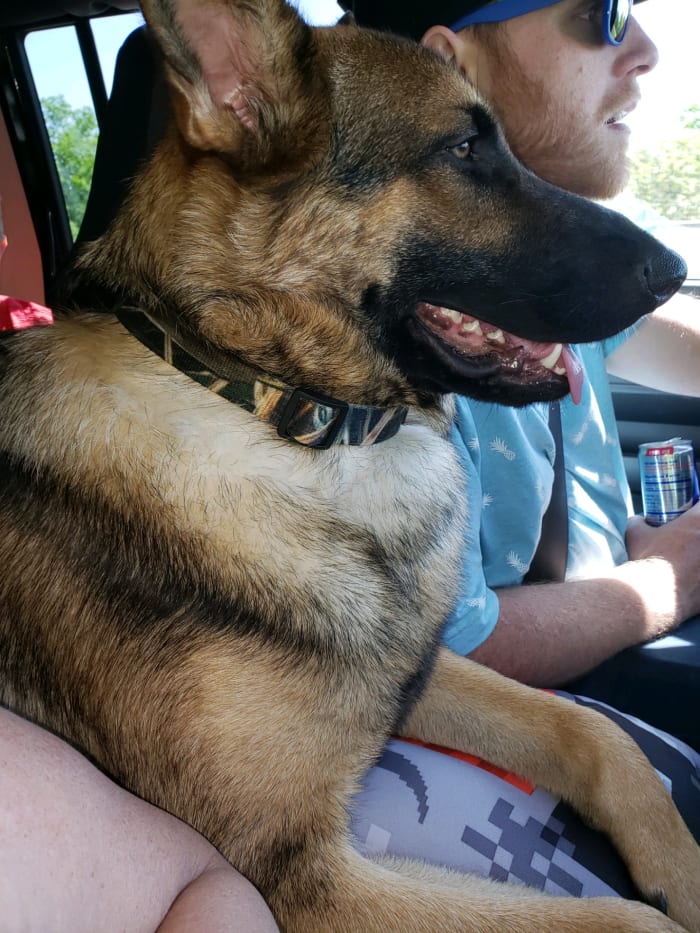 Photo from testimonial by Anonymous