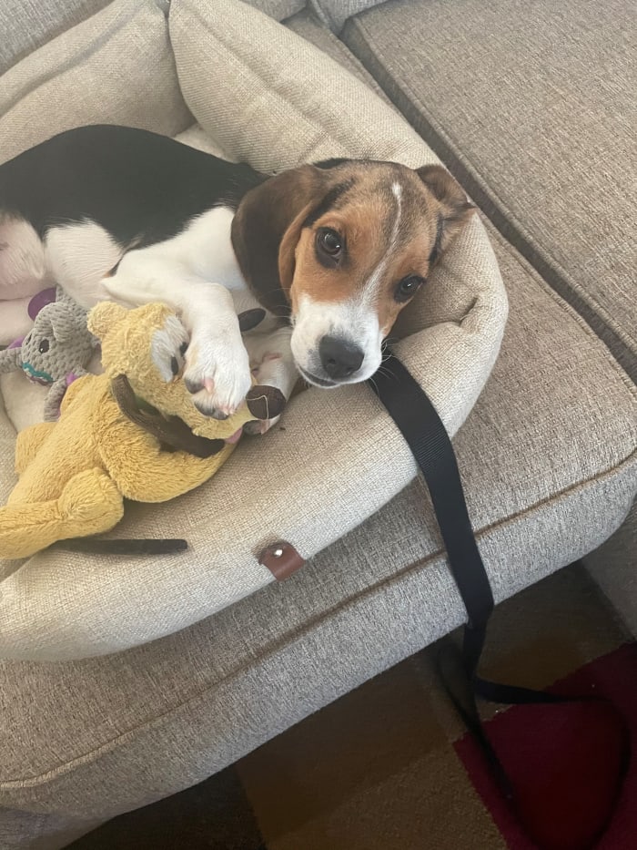 Photo from testimonial by Anonymous