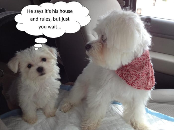 Photo from testimonial by Anonymous