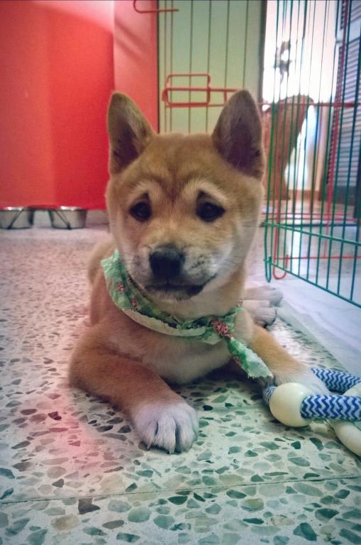 Photo from testimonial by Anonymous