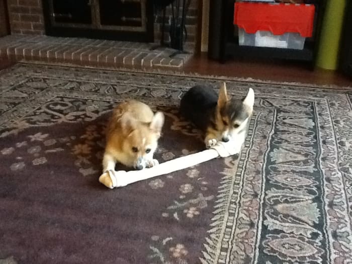 Photo from testimonial by Anonymous