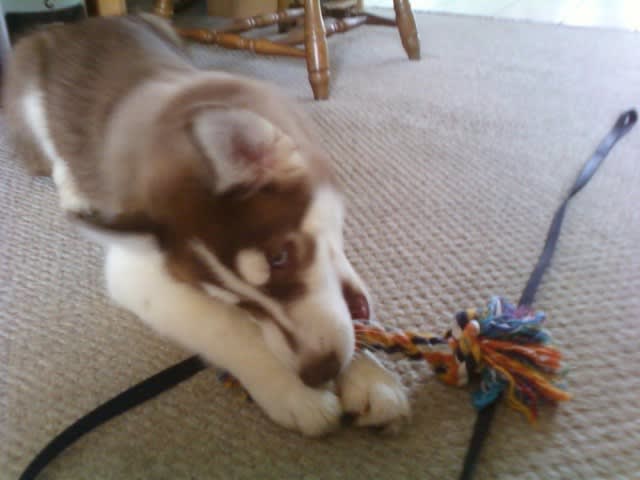 Photo from testimonial by Anonymous