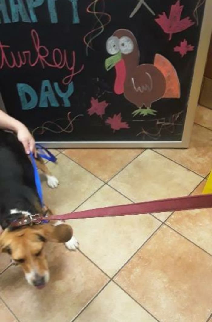 Photo from testimonial by Anonymous