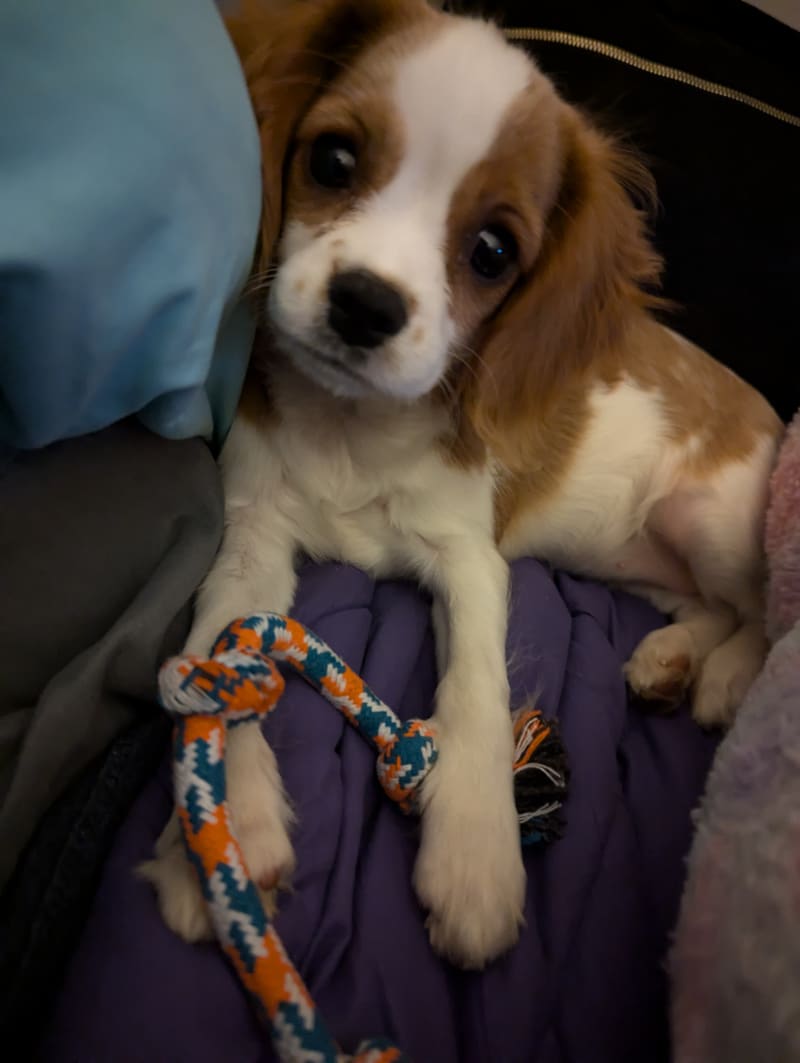 Photo from testimonial by Anonymous