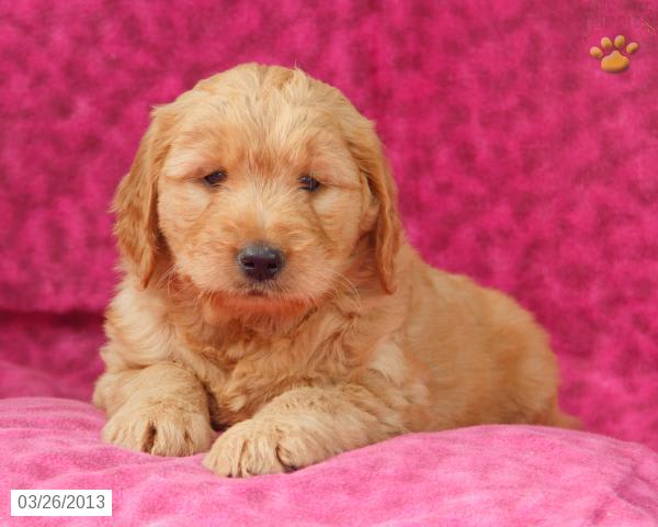 Photo from testimonial by Anonymous