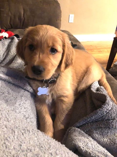 Photo from testimonial by Anonymous