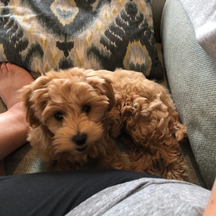 Photo from testimonial by Anonymous