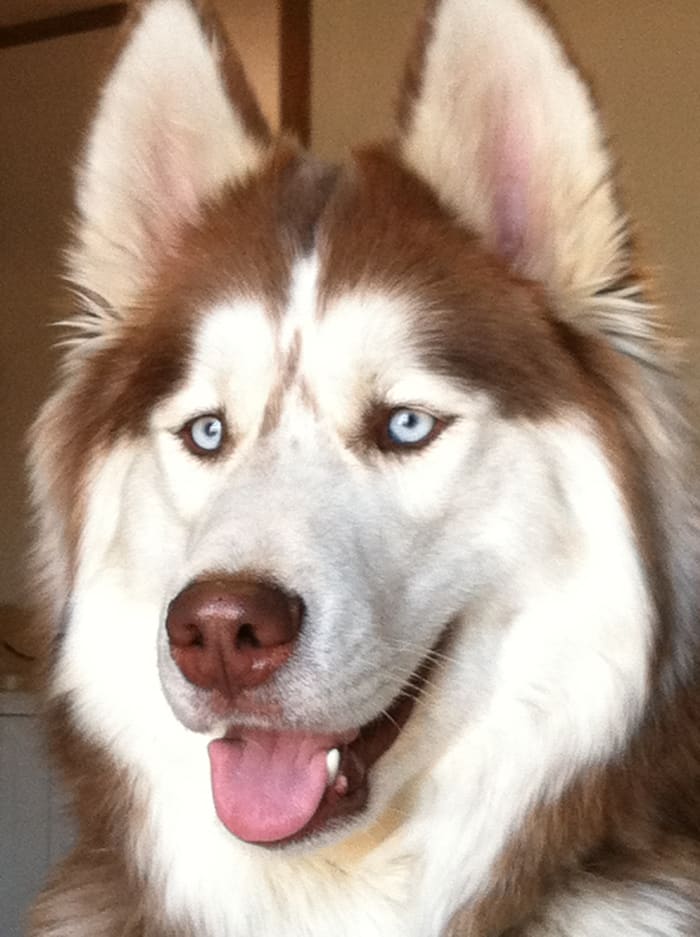 Photo from testimonial by Anonymous