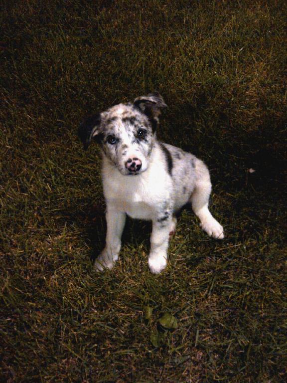 Photo from testimonial by Anonymous