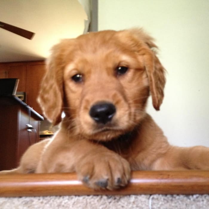 Photo from testimonial by Anonymous