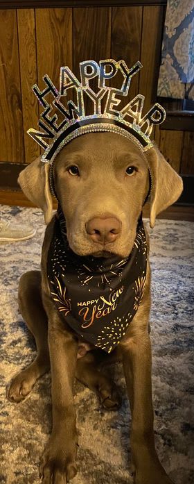 Photo from testimonial by Anonymous