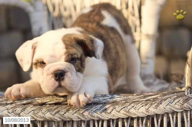 Photo from testimonial by Anonymous