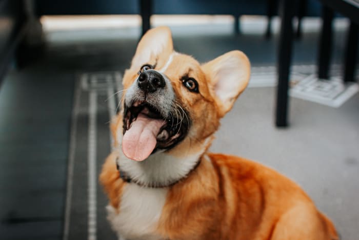 Photo from testimonial by Anonymous