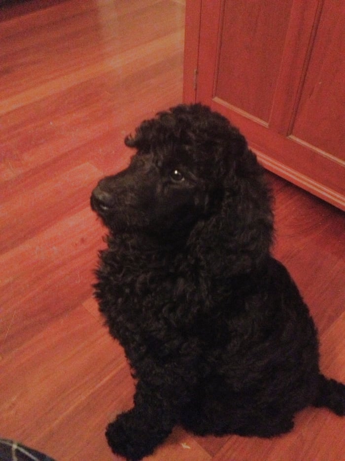 Photo from testimonial by Anonymous