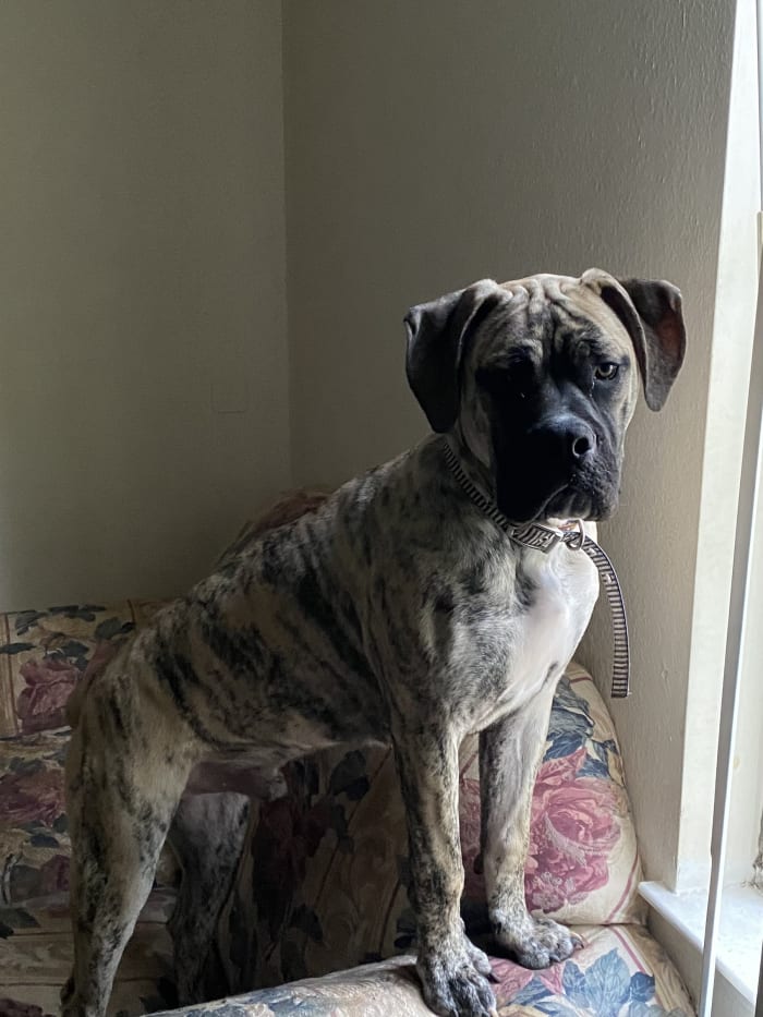 Photo from testimonial by Anonymous