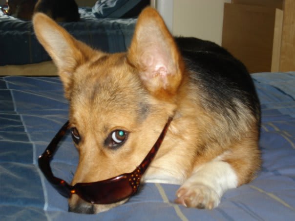 Photo from testimonial by Anonymous