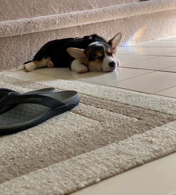 Photo from testimonial by Anonymous