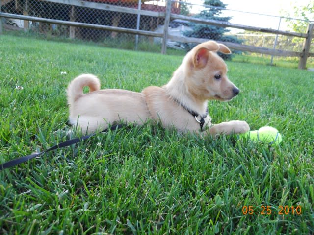 Photo from testimonial by Anonymous