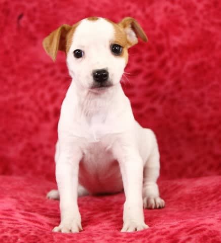 Photo from testimonial by Anonymous