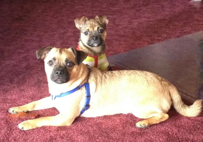 Photo from testimonial by Anonymous