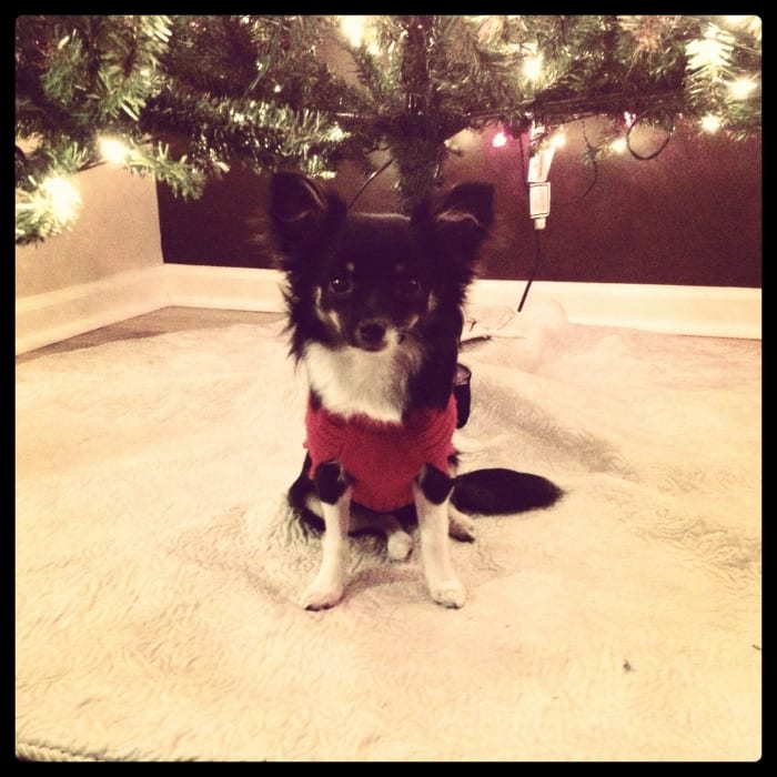 Photo from testimonial by Anonymous