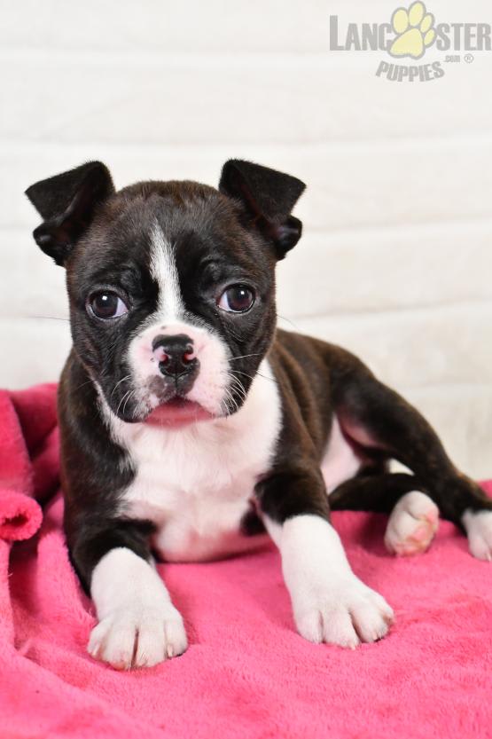 Photo from testimonial by Anonymous