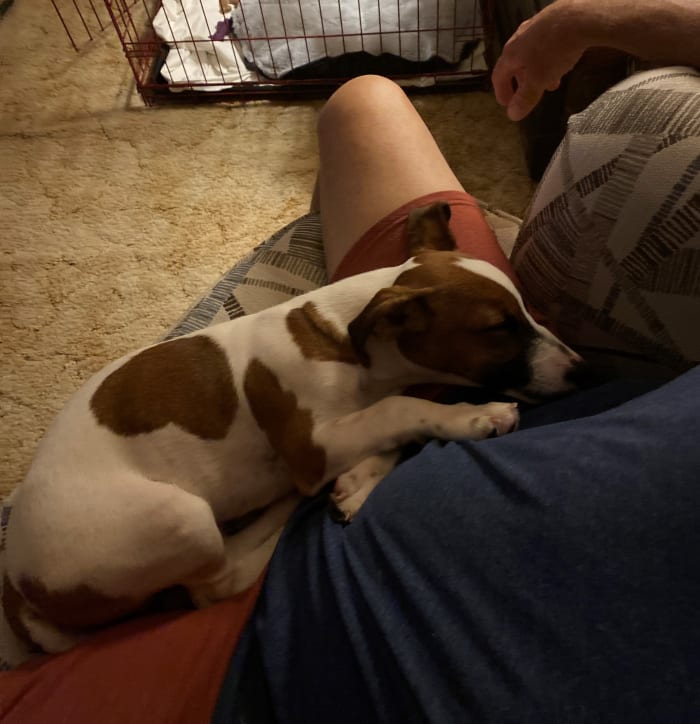 Photo from testimonial by Anonymous