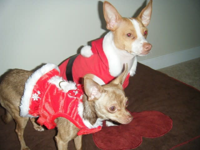 Photo from testimonial by Anonymous